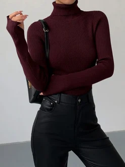 Online Minimalist Turtleneck Slim Knit Top Sweater Tops|Sweaters & Cardigans